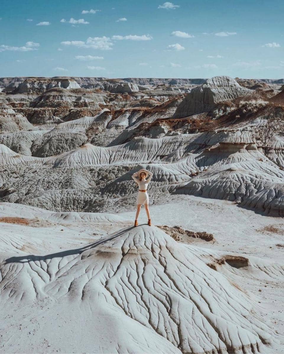 instagram.com/tara milk tea