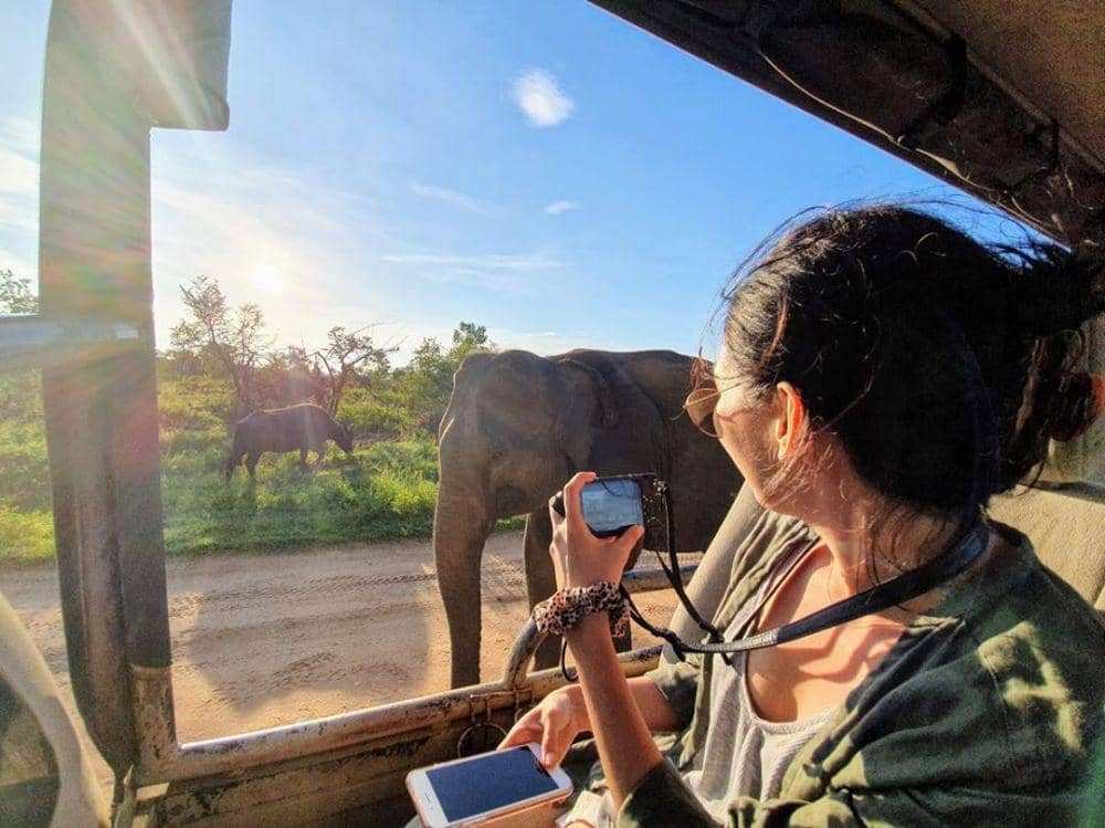 instagram.com/aaannniiieee