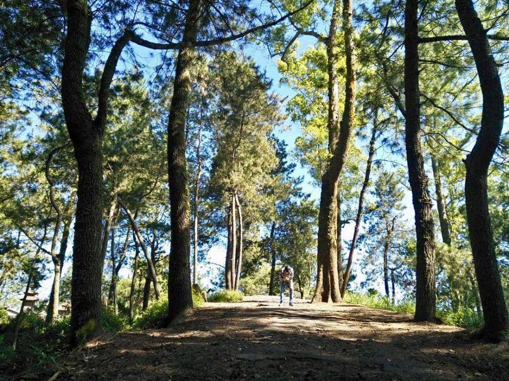 instagram.com/chandra_teja/