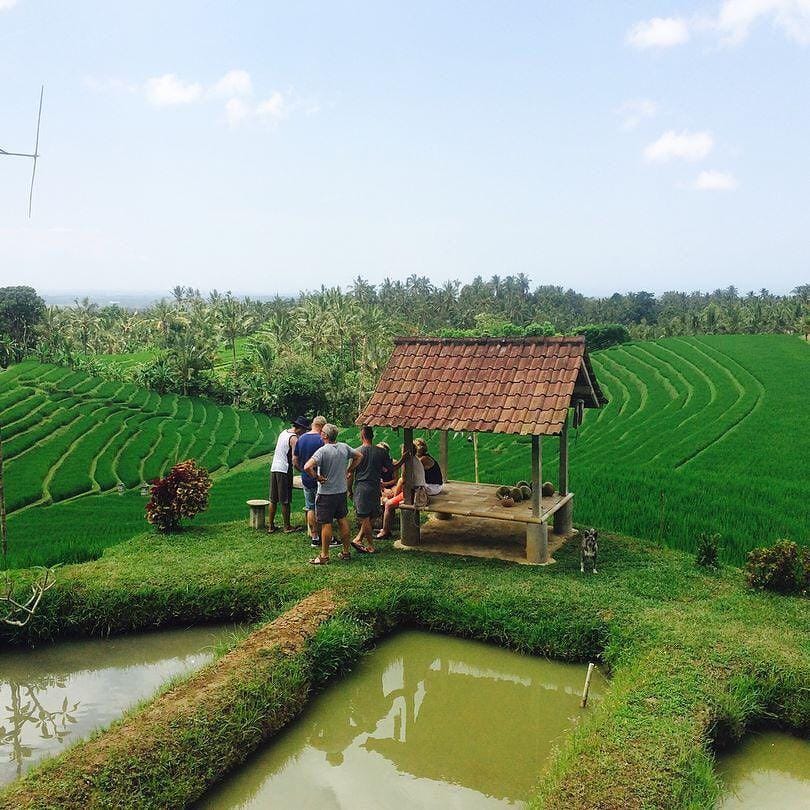 instagram.com/desamanikyang