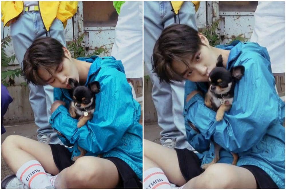 twitter.com/eternallydaehwi