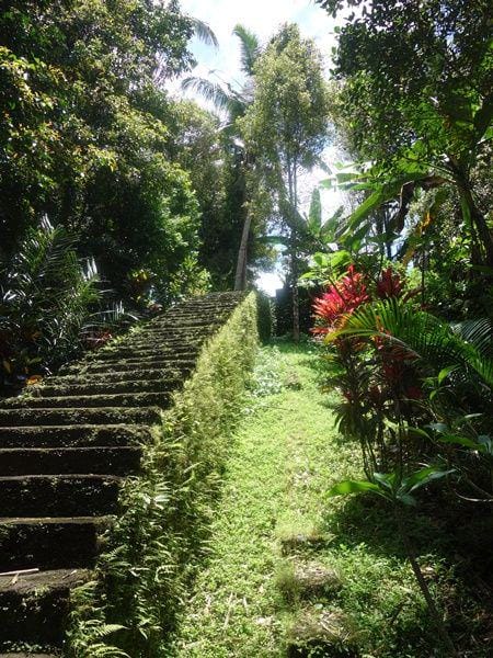 mountains-of-bali.info