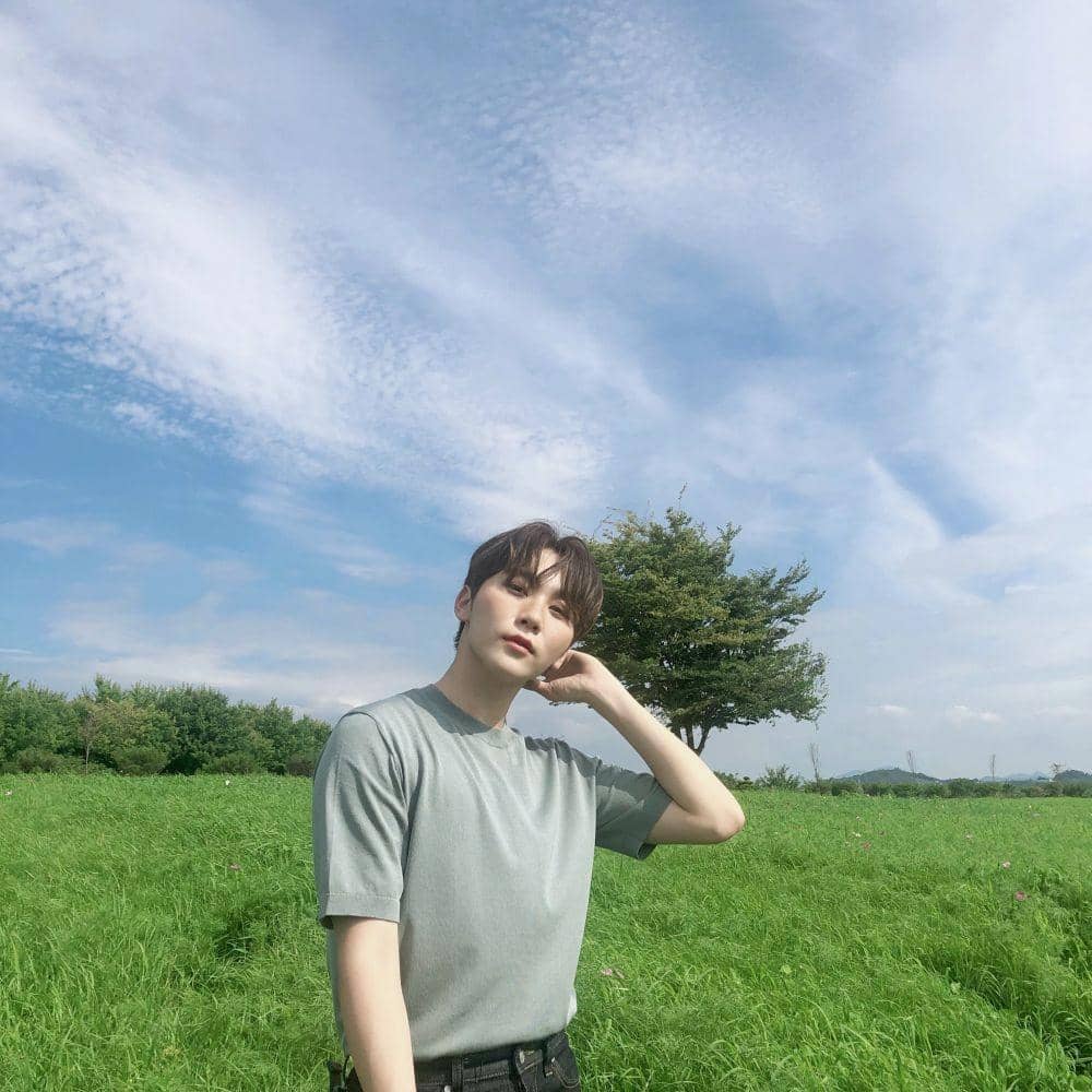 twitter.com/pledis_17