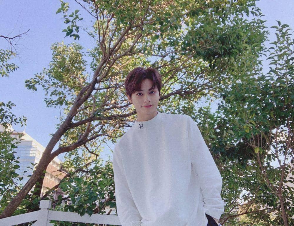 twitter.com/pledis_17