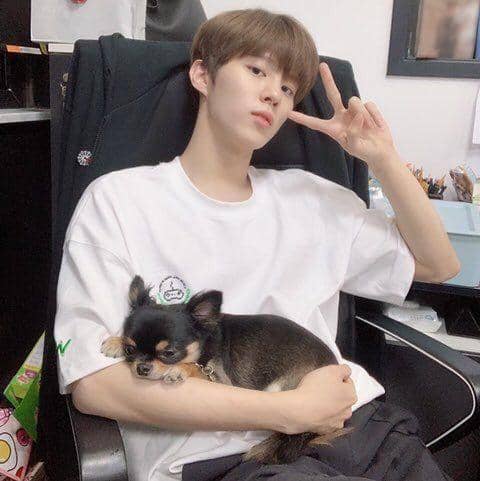 cafe.daum.net/X1official