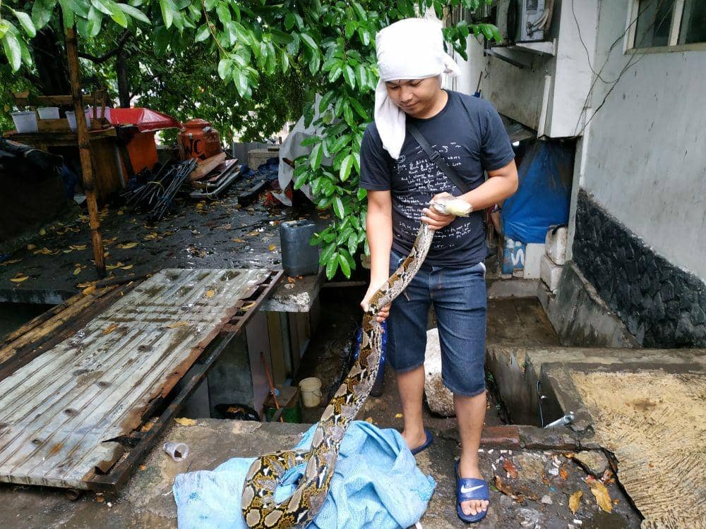 IDN Times/Debbie Sutrisno