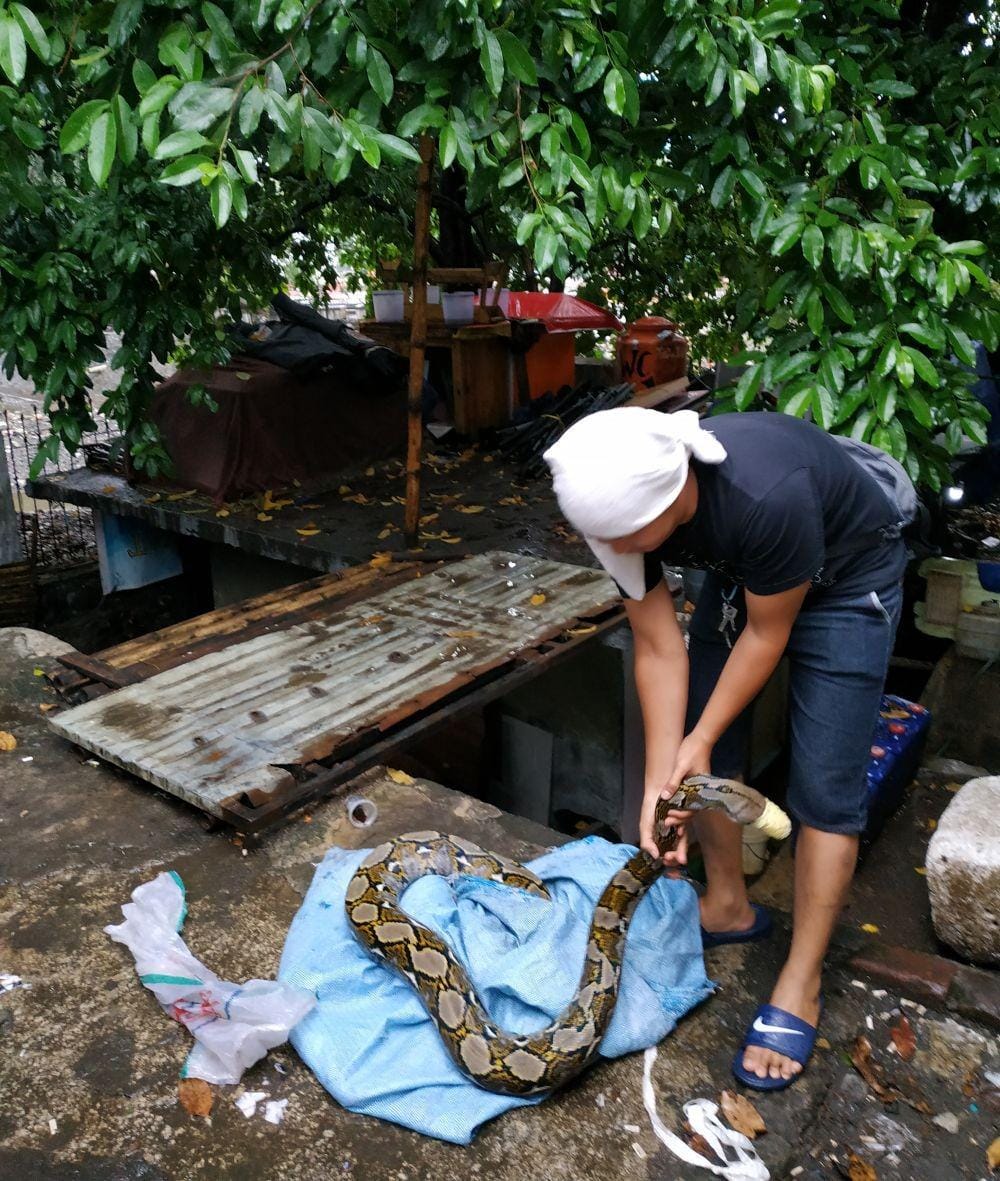 IDN Times/Debbie Sutrisno