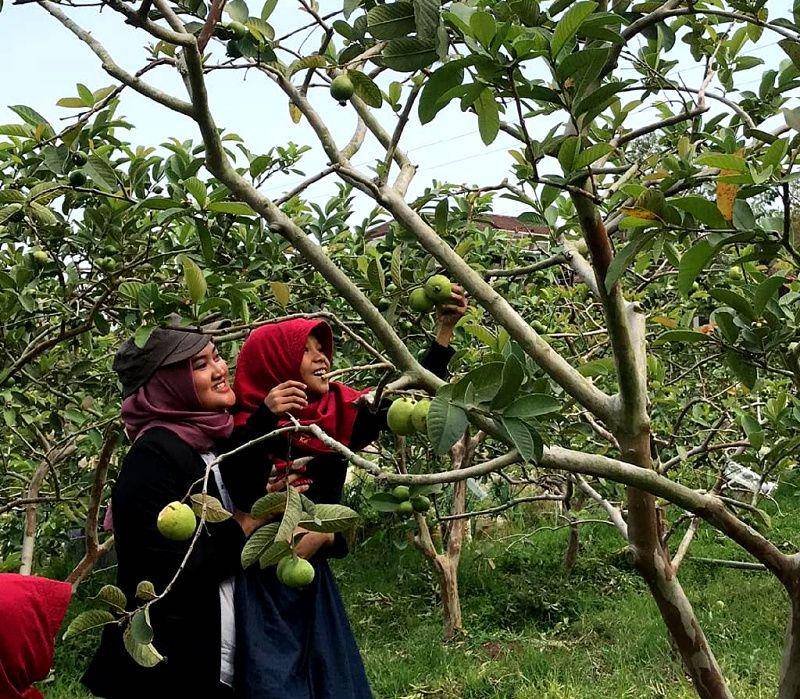 instagram.com/agrowisata