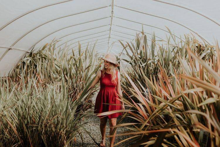 unsplash/Priscilla Du Preez
