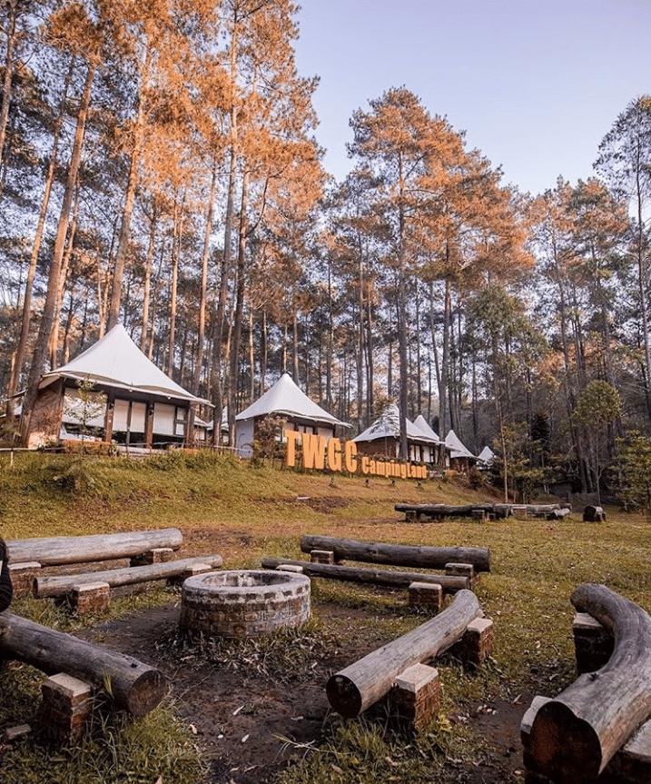 instagram.com/officialgrafika