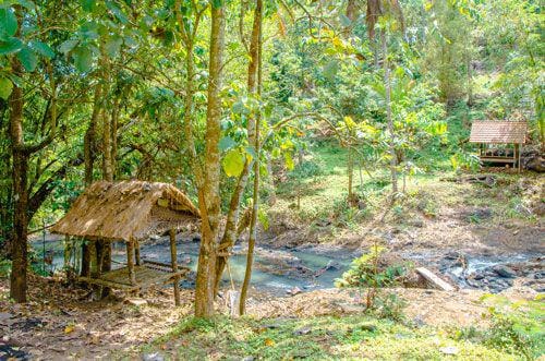 travelonthebrain.net