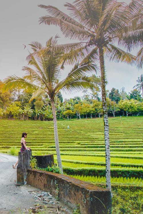 travelonthebrain.net