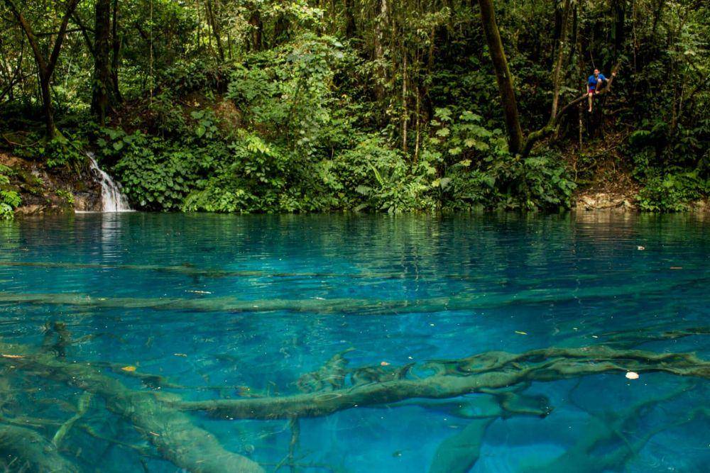 wildsumatra.com