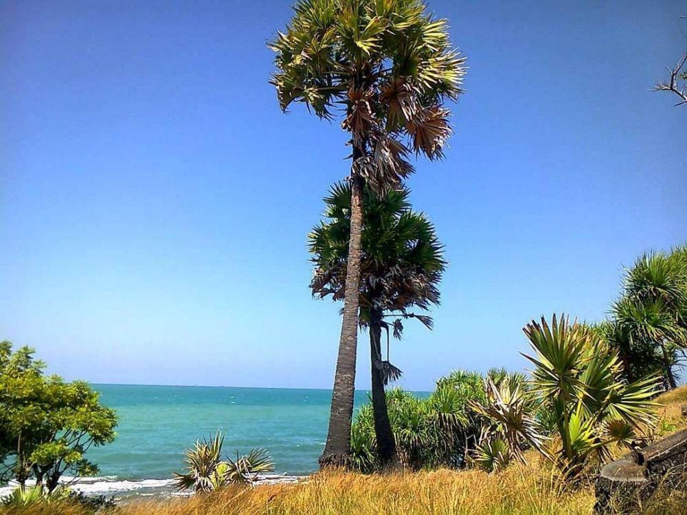 instagram.com/wearesumenep