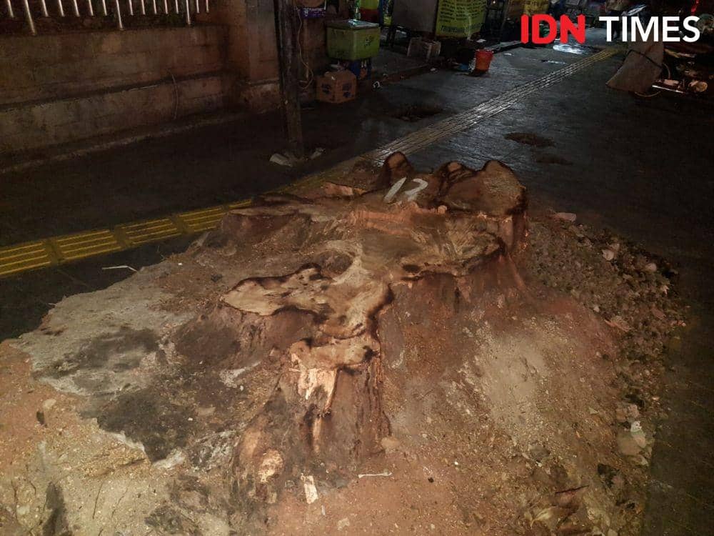 IDN Times/Gregorius Aryodamar P