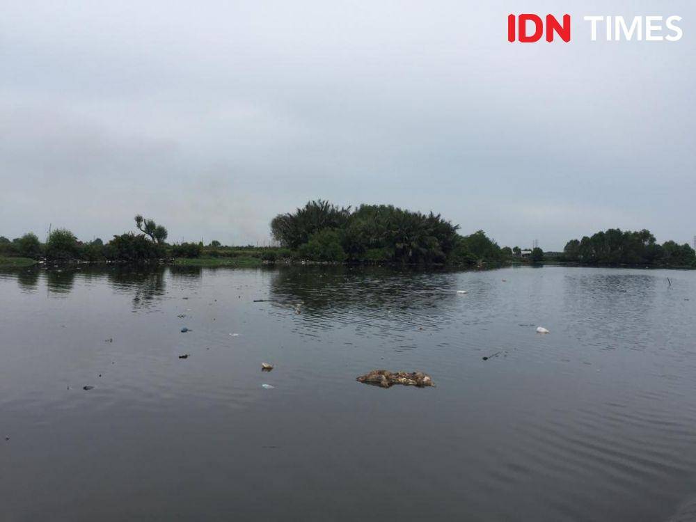 Bangkai babi di Danau Siombak, Kecamatan Medan Marelan, Kota Medan, diduga sengaja dibuang oleh oknum yang tidak bertanggung jawab (IDN Times/Prayugo Utomo)