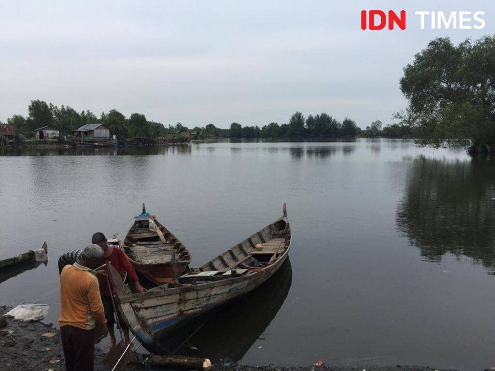 Nelayan terpaksa mogok karena bangkai babi yang terapung di Danau menyebabkan pencemaran (IDN Times/Prayugo Utomo)