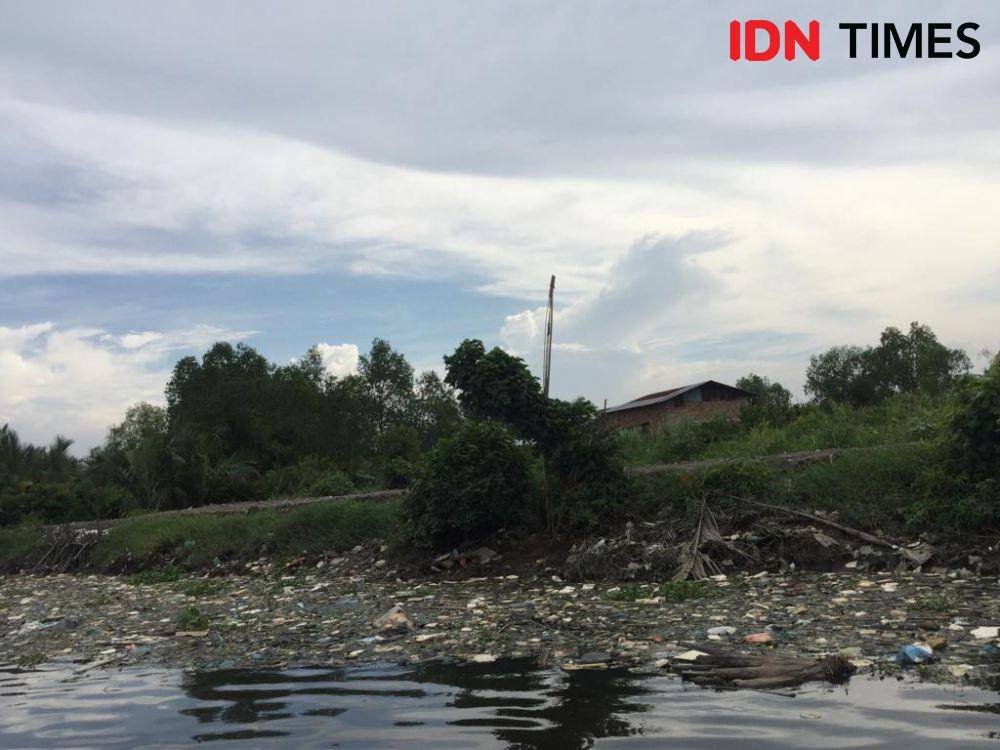 Bangkai babi di Danau Siombak, Kecamatan Medan Marelan, Kota Medan, diduga sengaja dibuang oleh oknum yang tidak bertanggung jawab (IDN Times/Prayugo Utomo)
