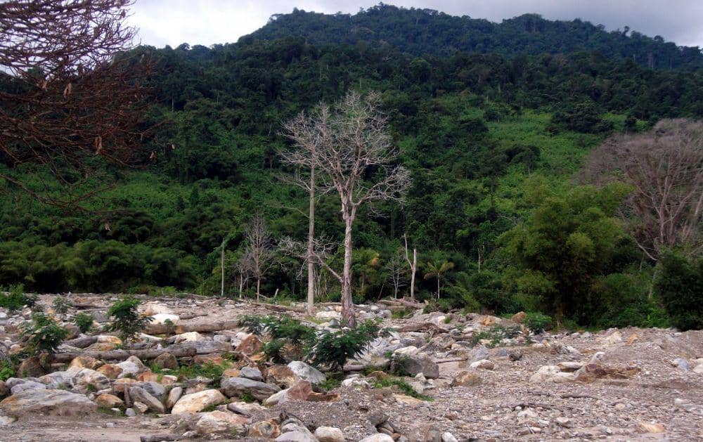 dhony-syach.blogspot.com