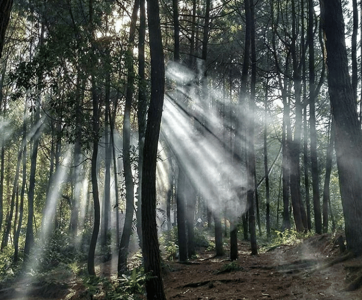 instagram.com/maarif.saepul