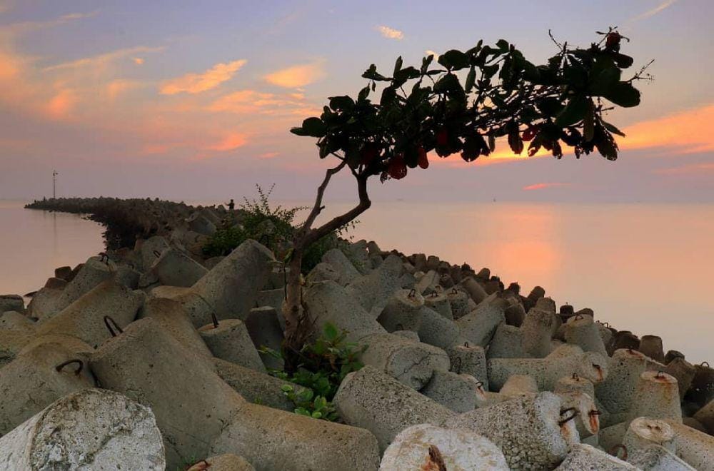 instagram.com/putu_agung73