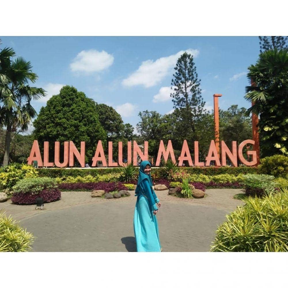 Instagram.com/irmaming