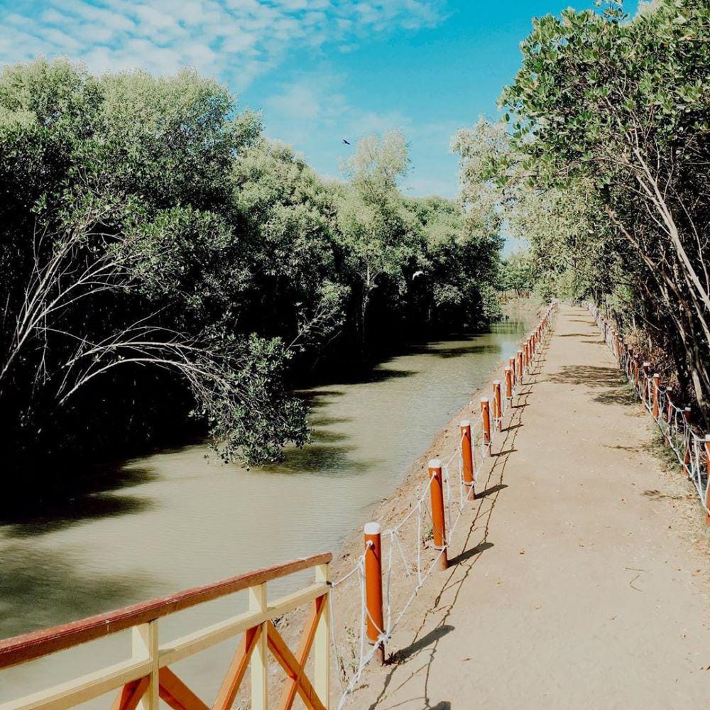 instagram.com/prtdna__