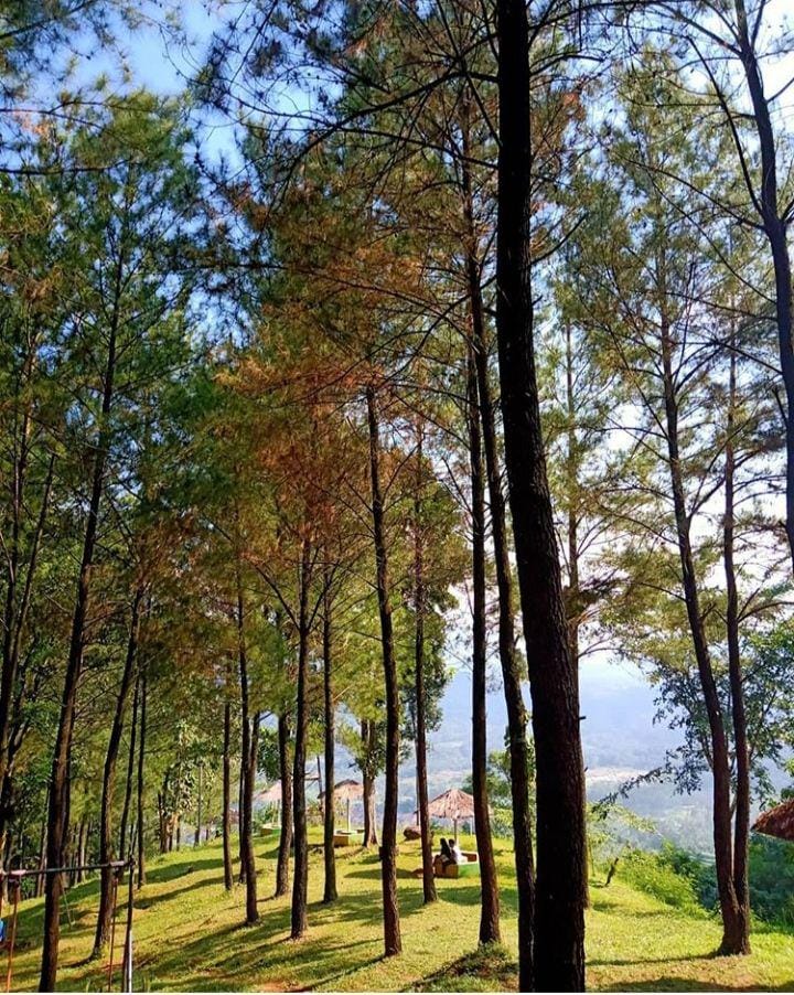 instagram.com/DediViarsacake