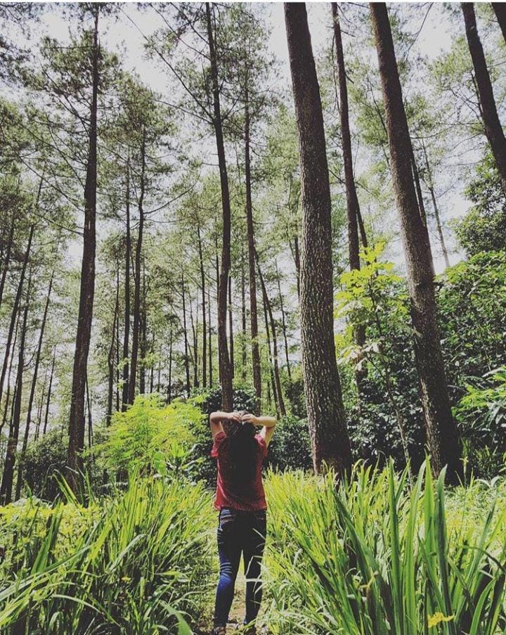 instagram.com/dianarianti21