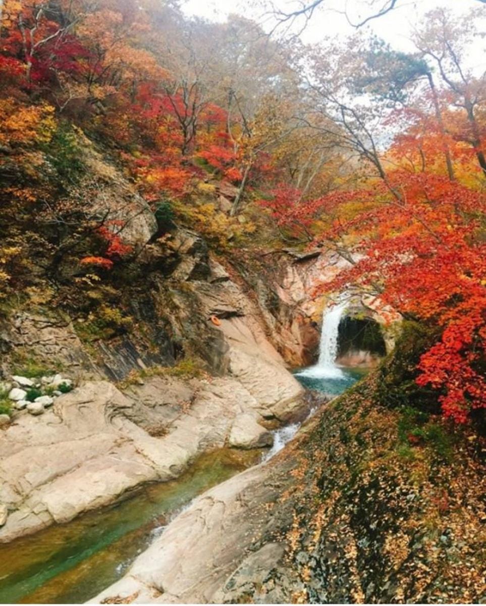 instragam.com/mehippler