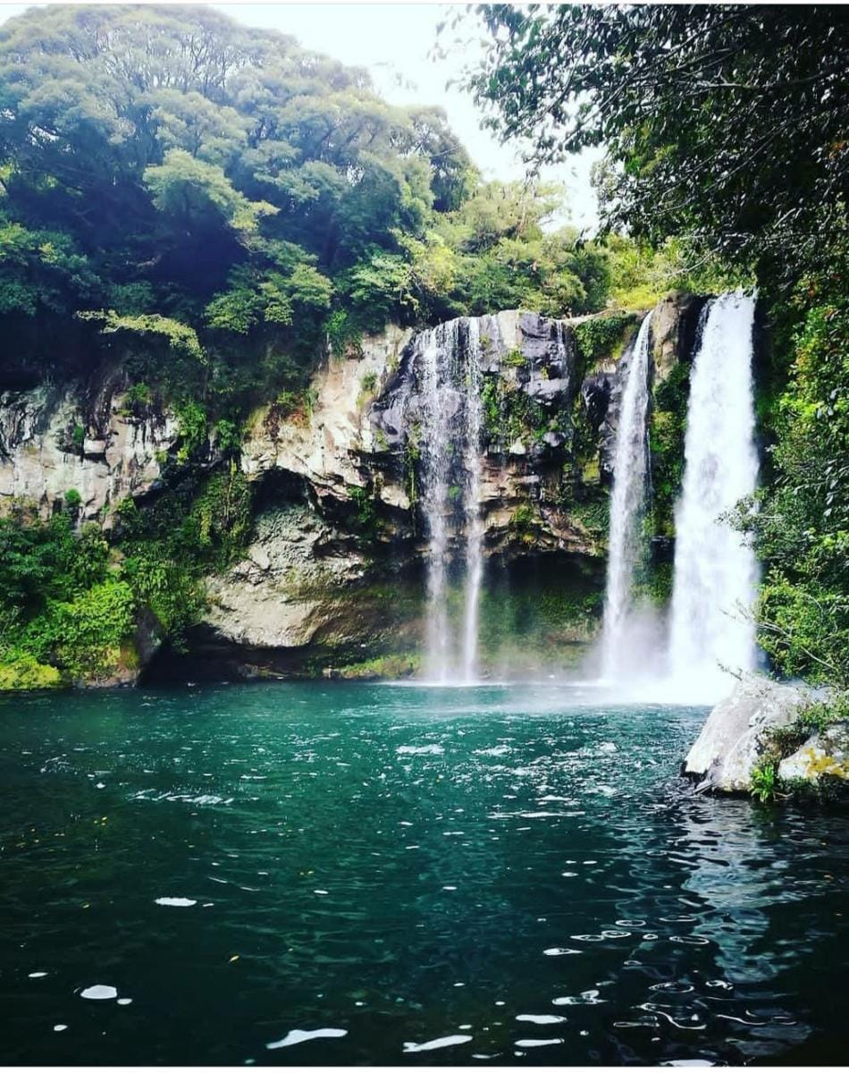 instragam.com/nico_elyte