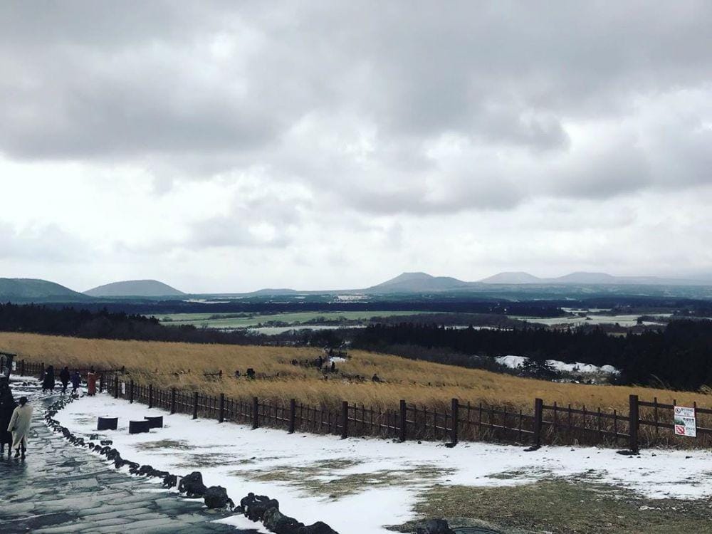 instagram.com/iris0414