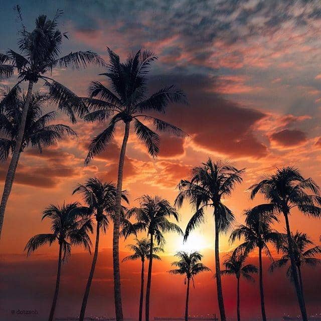 instagram.com/reiseliebe__