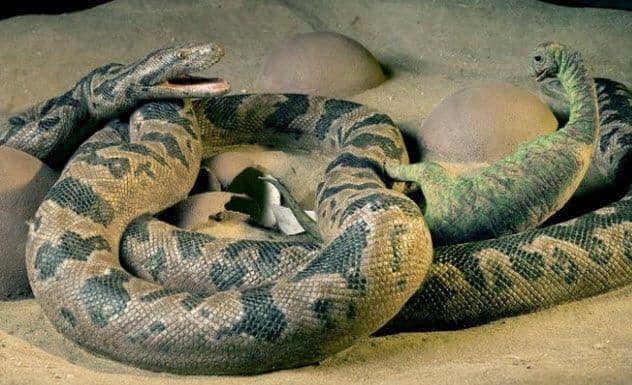 Nationalgeographic.com/Ximena Erickson, Bonnie Miljour, dan Tyler Keillor