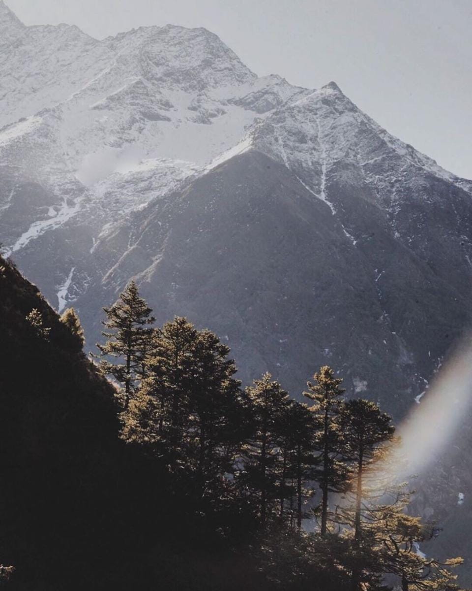 instagram.com/christineaitchison