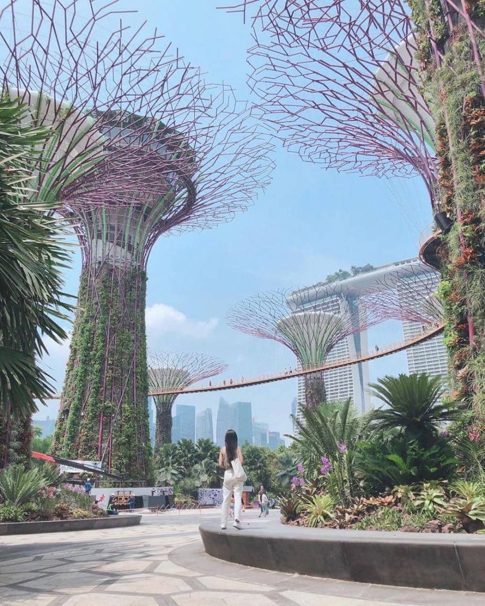 instagram.com/sonikanoora