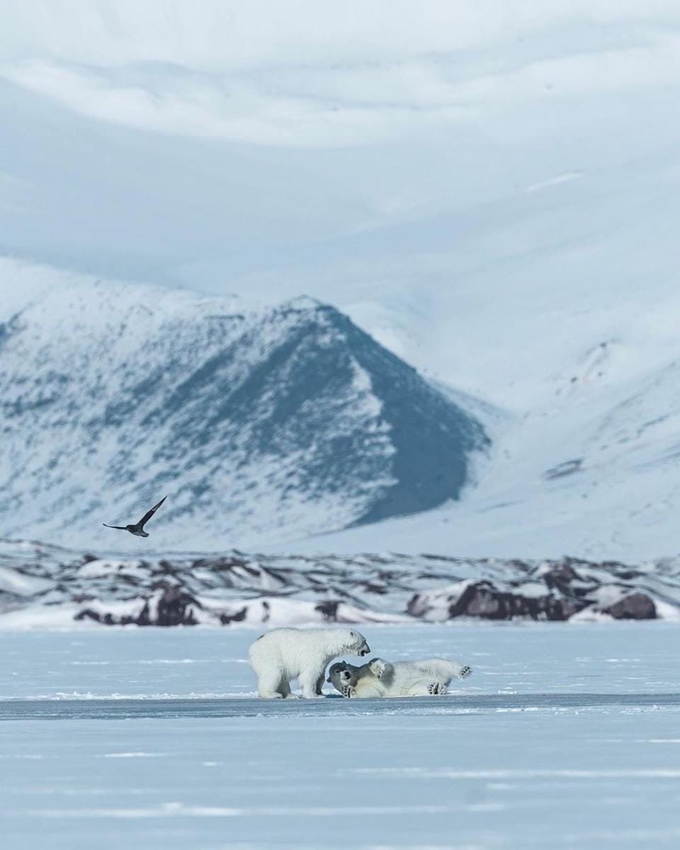 instagram.com/linakayser