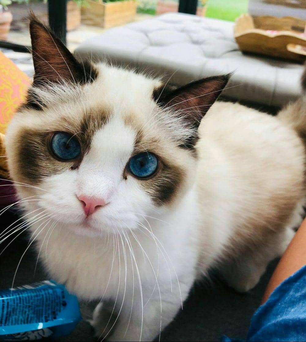 Instagram.com/taylorswift