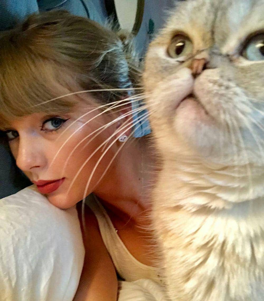 Instagram.com/taylorswift