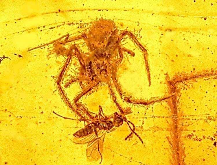 Oregon State University via ranker.com