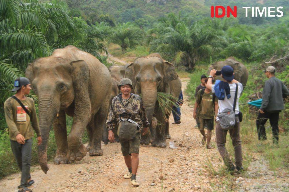 IDN Times/Prayugo Utomo