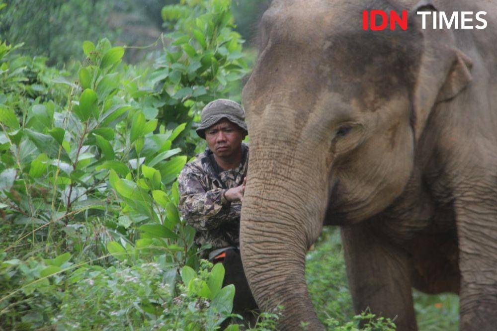 IDN Times/Prayugo Utomo