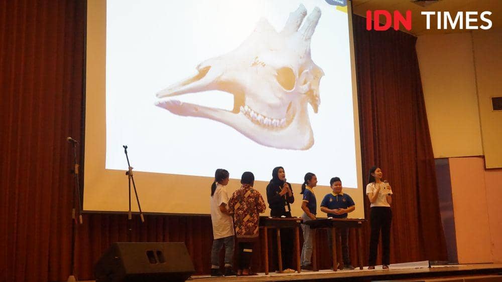 IDN Times/Nena Zakiah