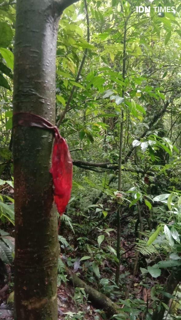 IDN Times/Indah Permata Sari