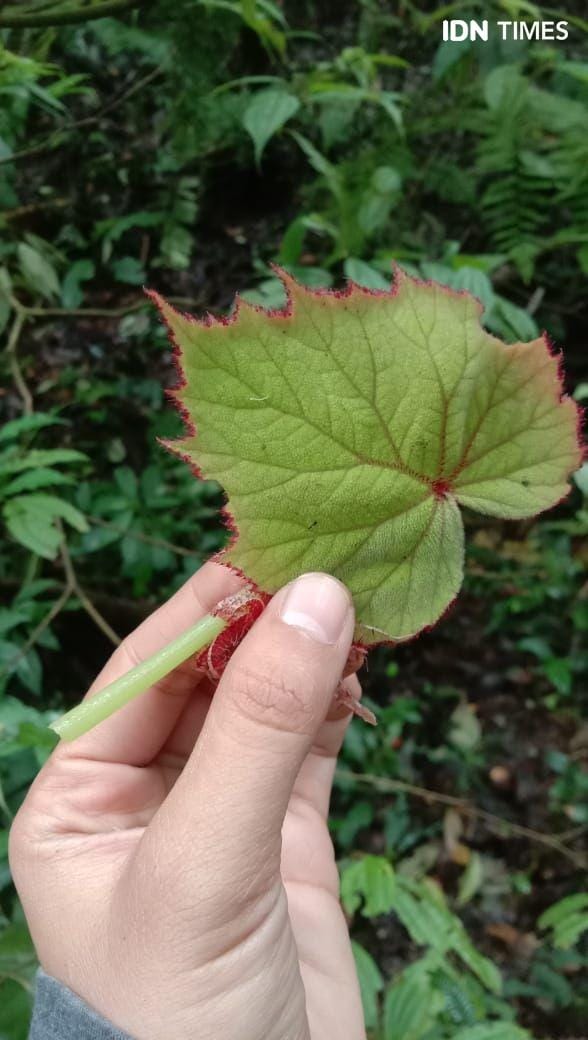 IDN Times/Indah Permata Sari