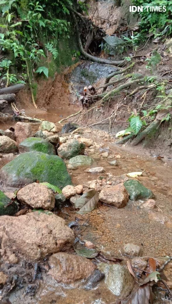 IDN Times/Indah Permata Sari