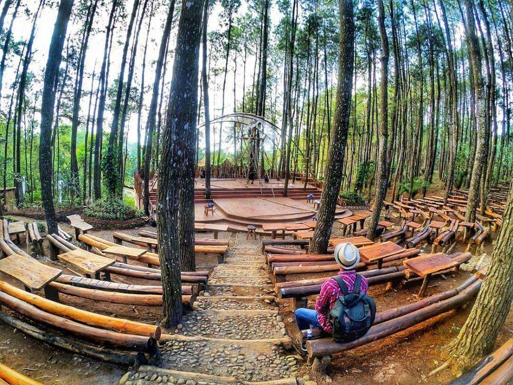 Ilustrasi hutan pinus Mangunan. instagram