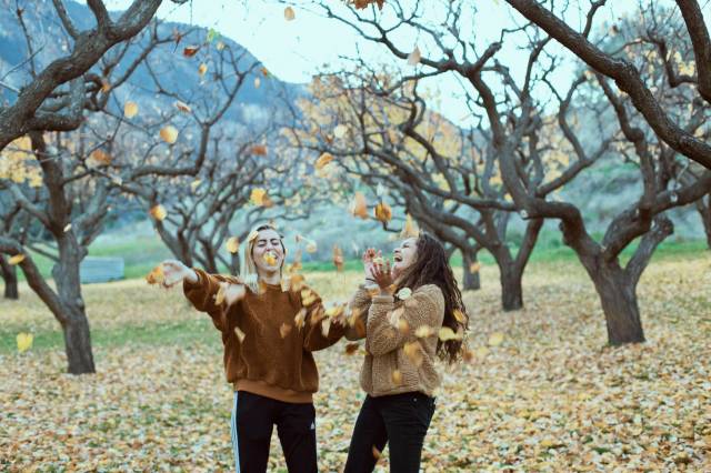Unsplash/noemiphotography