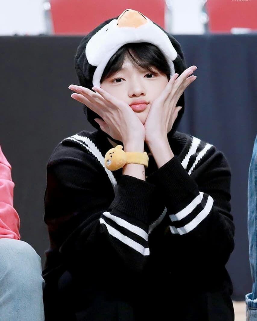 Instagram.com/dongpyo.sites