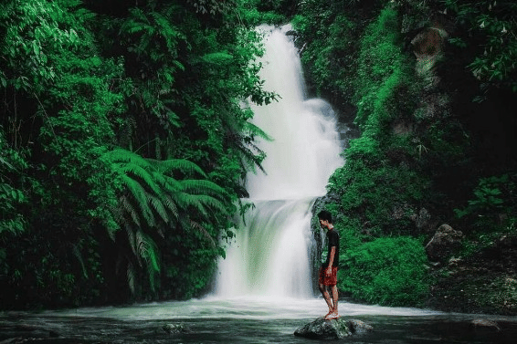 Instagram.com/agidharo